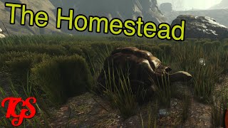 The Forest - Building a Home! - Part 1