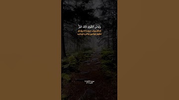 #سورة_الاعراف #قارىء #اكسبلور #quran #المصحف #peace 🌕