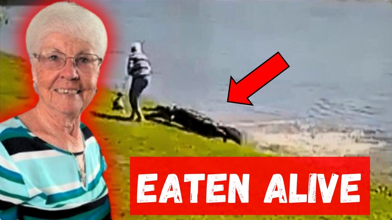 Alligator Kills 85-year-old Woman in Florida - YouTube