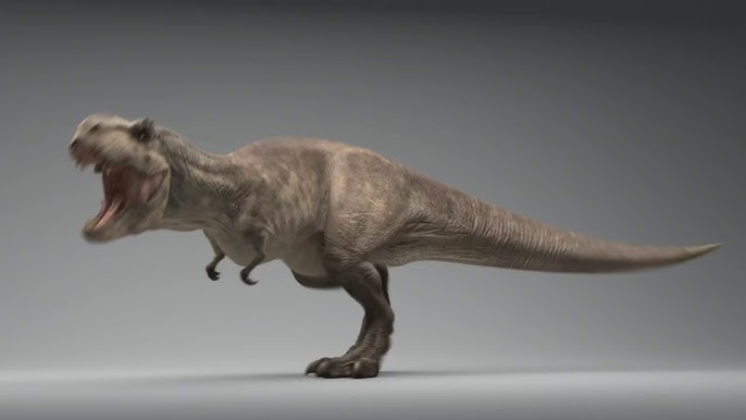 T Rex Blue screen animation walk run Dinosaur CGI animated 3D Studio Max  chroma key after effects 