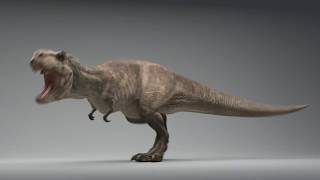 T-Rex animations by Dmytro Teslenko CG 36,907 views 6 years ago 44 seconds