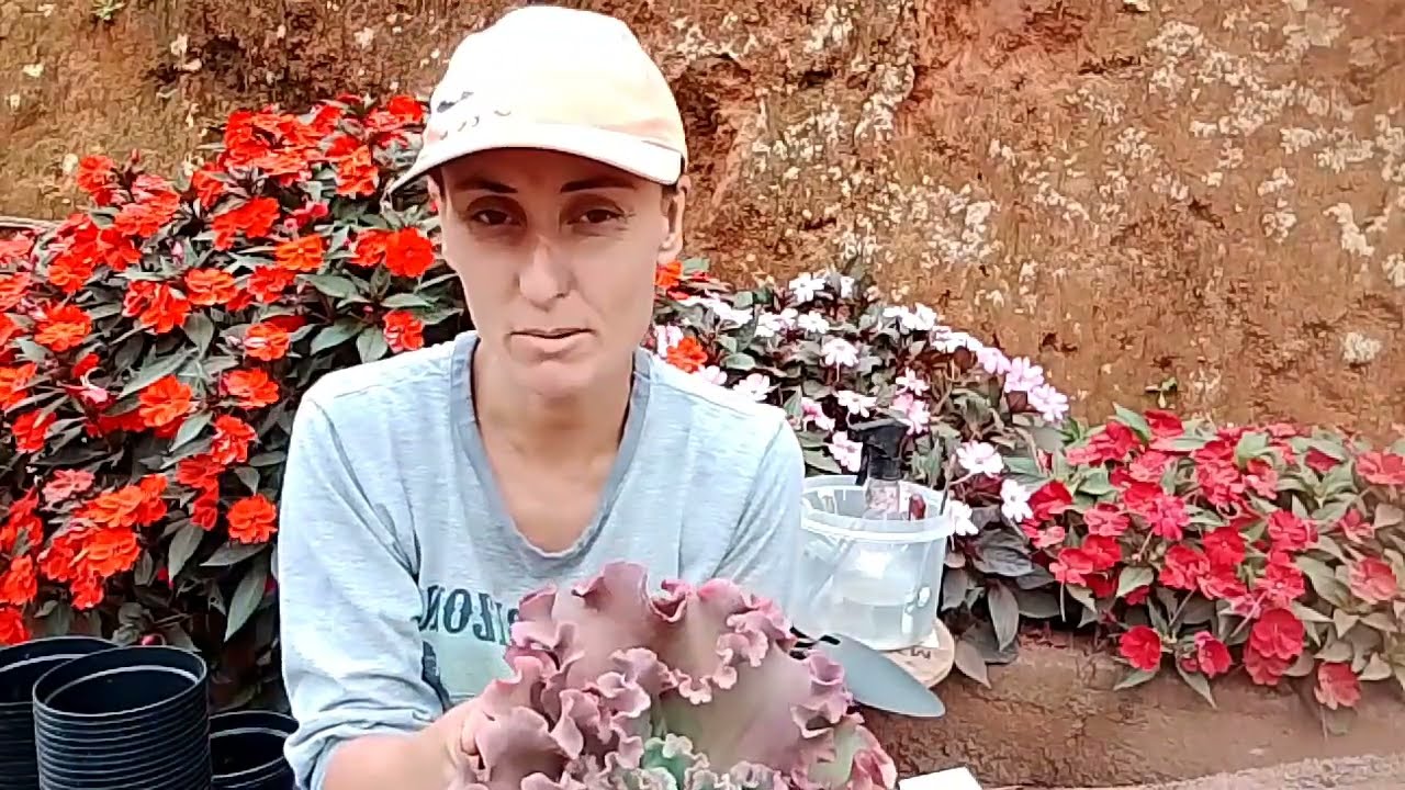 Parte 1: Replante das Gibifloras + identificações 😍❤️