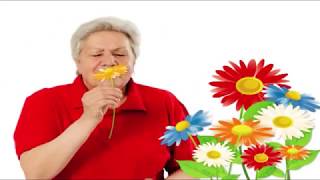 Голова садовая - Хосты после пересадки Голова садовая - Хосты после пересадки