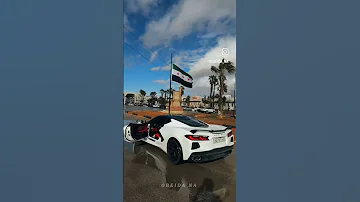 زفو سوريا عروس الكون 