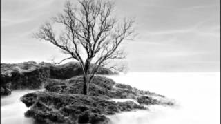 Sparklehorse - Sea Of Teeth