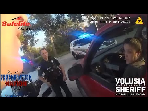 2 Sovereign Citizens 1 Window #windowsmash #safelite