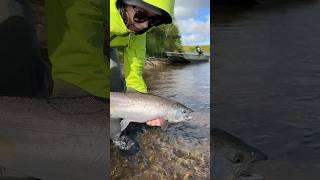 Камчатка 2024 день 85 Кижуч #камчатка #рыбалка #ярик_рыбак #fishing #кижуч #wildlife #рыба