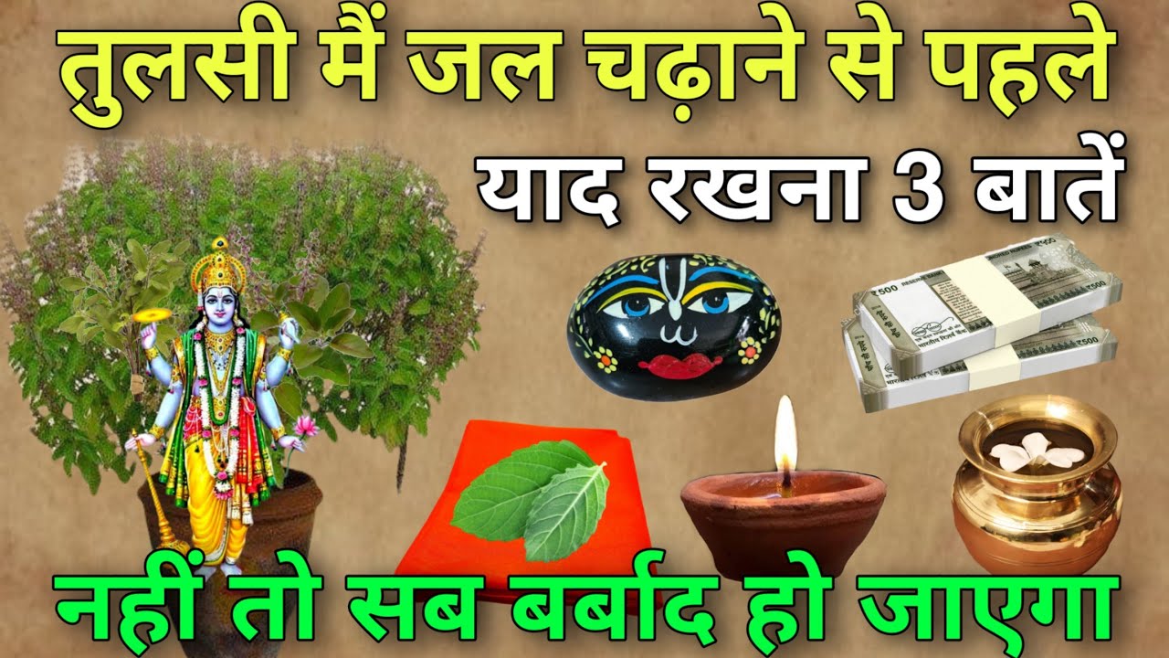 चाहे मर जाना पर😱 तुलसी में ऐसा जल कभी मत चढ़ना, नहीं तो सब बर्बाद हो जाएगा| Tulsi Puja Vastu Shastra