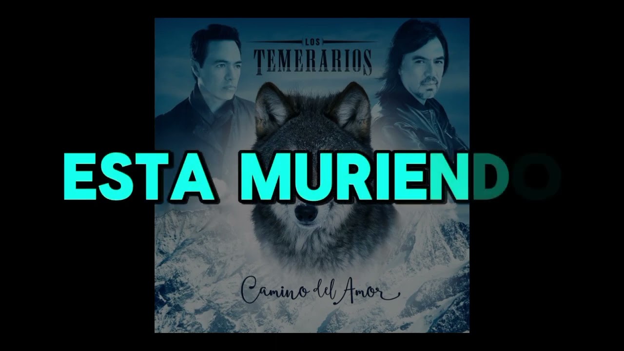 𝕄𝕚 𝕒𝕝𝕞𝕒 𝕣𝕖𝕔𝕝𝕒𝕞𝕒/𝕜𝕒𝕣𝕒𝕠𝕜𝕖/𝕃𝕠𝕤 𝕋𝕖𝕞𝕖𝕣𝕒𝕣𝕚𝕠𝕤