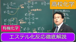 エステル化反応　アルコール　カルボン酸　有機化学　高校化学　エンジョイケミストリー　143401