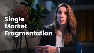Single Market Fragmentation
