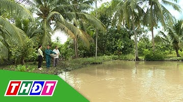 Nuôi cá thát lát cườm ở Hậu Giang | Thủy sản hội nhập - 7/12/2023 | THDT