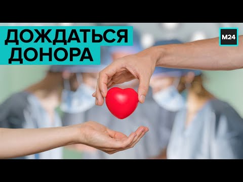 Донорство в России: как расширить возможности трансплантологии? "Специальный репортаж" - Москва 24