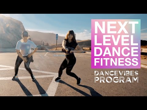 What is the DanceVibes Program?