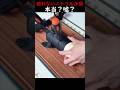 破れないニトリル手袋本当？嘘？
