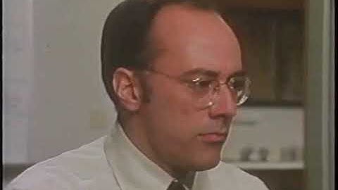 Xerox Star Professional