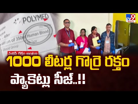 Animal Blood Selling In Telangana  : 1000 లీటర్ల గొర్రె రక్తం ప్యాకెట్లు సీజ్..!! - TV9 - TV9