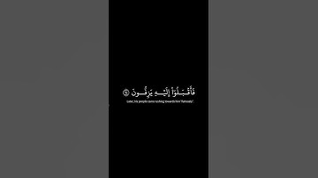 سورة الصافات ٩١-٩٨ بصوت ياسر الدوسري #quran #قرآن #المصحف #راحة_نفسية #yasseraldossary