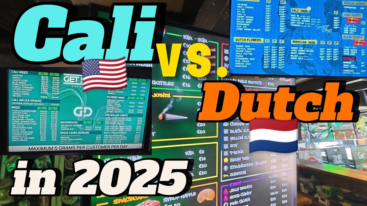 Cali Vs. Dutch in AMSTERDAM 2025 - a comparison and my opinions
