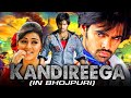 Khatarnak yodha kandireega south indian bhojpuri dubbed full movie  ram pothinenihansika motwani