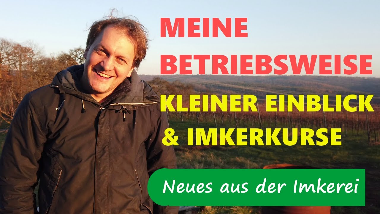 Meine Betriebsweise | Kurze Vorstellung/ Einblicke | Ein Hoch auf Dadant - Neues aus der Imkerei