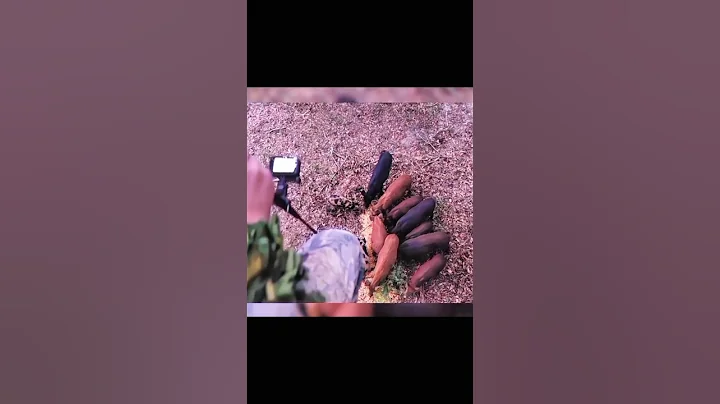 большой поток диких кабанов, отличная охота#hunting#challenge#chasse#