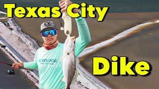 Wade Fishing the Texas City Dike | Speckled Trout Action with Live Shrimp