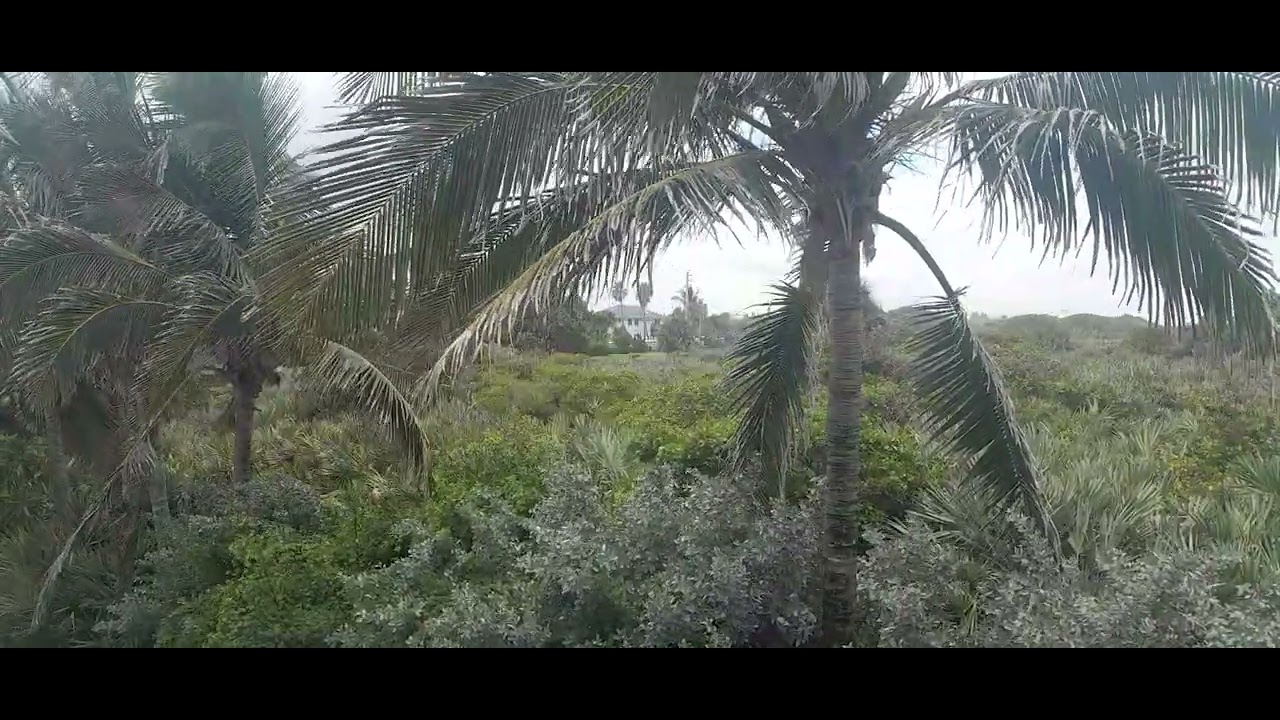 Lectures on Russian Literature by Nabokov (The Overcoat by Gogol)