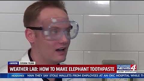 4Warn Weather Lab Elephant Toothpaste