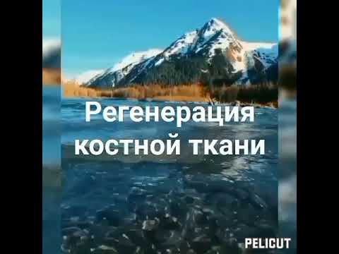 💥матрица целительная мощная .регенерация костной ткани.