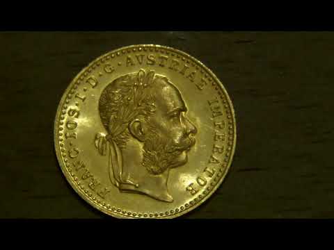 Video: Small Florin Ducat Protects