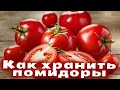 Как хранить помидоры