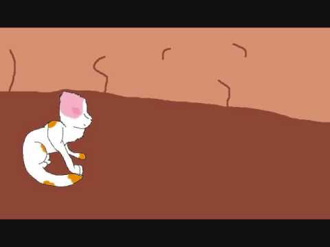 Brightheart AMV-Stand in the rain