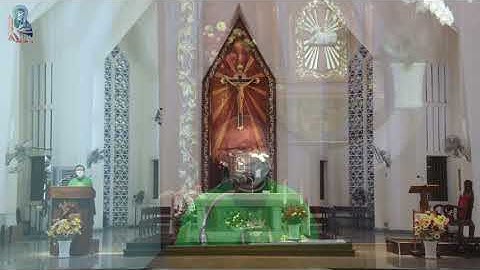 Giảng lễ Thứ Hai Tuần XXIII Thường Niên | Thánh lễ 6h00 | 06/09/2021 | Lm Phêrô Đinh Ngọc Lâm CSsR