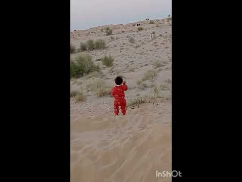 camping in Dubai desert #winterfun #minivlog #deenislife