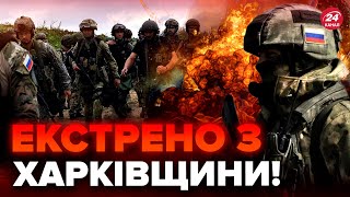 🔴 Окупанти ТИСНУТЬ на Харківщині! ЗСУ тримають позиції: НЕ ВТРАЧЕНО жодного метра. РФ готує ОПЕРАЦІЮ