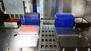 Celer Biotecnologia Diluição Dos Extratos Na Microplaca