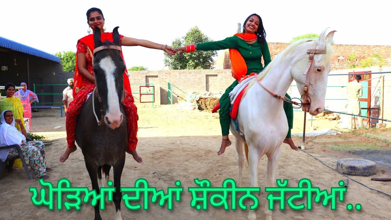 Chal Didi Race Layie... Dakde aa kon Jitega...