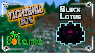 Career Overview Black Lotus | Botania: Tutorial Bits Español | Minecraft 1.19.2 | Danymaddox
