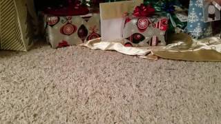 Benchmade 51-1601 Blade Hq Exclusive