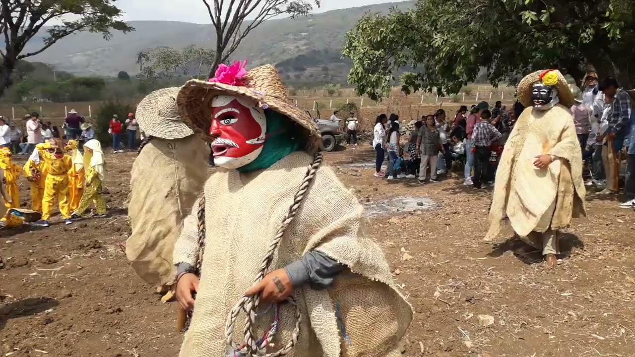 Tlacololeros de almolonga Guerrero 14/05/2025