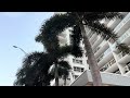 North Miami Beach walk pov day! 