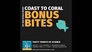 RCA Coast to Coral: Bonus Bites! What even is a sea slug? screenshot 1