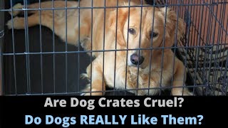 Are Dog Crates Cruel? Should You Use A Dog Crate For Your Dog Or Puppy?