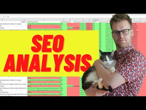 web page seo analysis