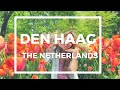 TRAVEL GUIDE: Den Haag + Day Trips Video Klibi TRAVEL GUIDE: Den Haag + Day Trips Video Klibi