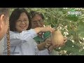 蔡英文視導「行政院農委會高雄區農改場澎湖分場」 蔡英文視導「行政院農委會高雄區農改場澎湖分場」