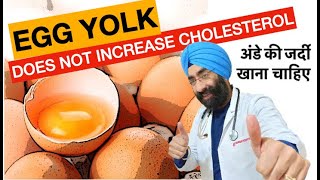 Famous Harward Research says You can eat 2 to 7 Egg Yolks in a day | No Cholesterol Risk | Dr.Education Profile