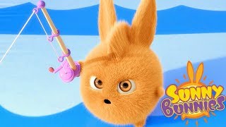 Videos For Kids | SUNNY BUNNIES - FISHING | Funny Videos For Kids