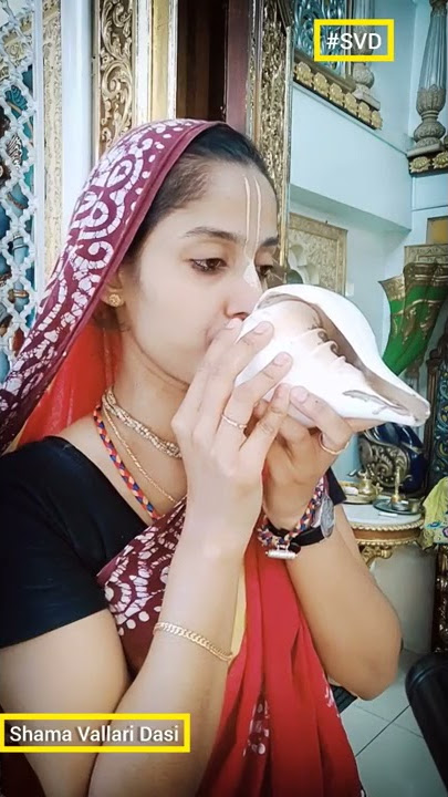 Amazing Conch blowing sound 🐚 👉 | Conch Shell 🐚 | SVD #shorts